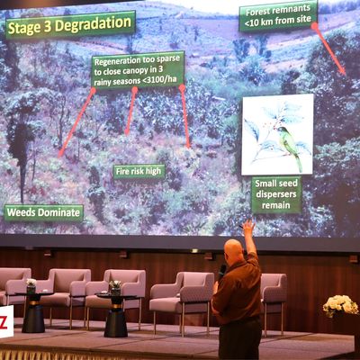 Steve presetns framework species method