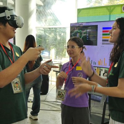 VR Forest