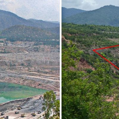 forest restoration on a mine 15 years progress