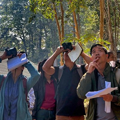 Phenology data collection 