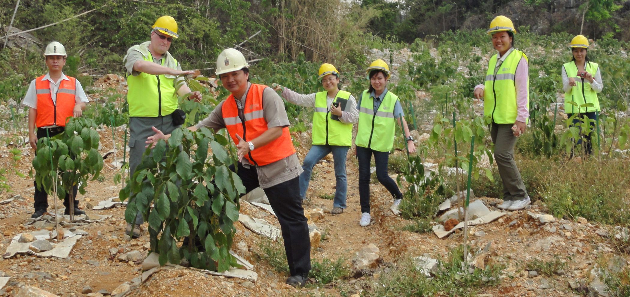 Restoring Forest Ecosystems on Opencast Mines
