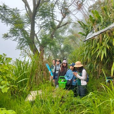 RPNH2025 site survey