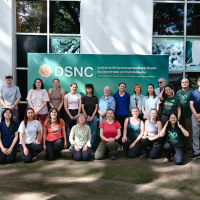 OSU group at DSNC
