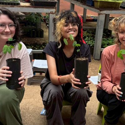 Seedling plotting 