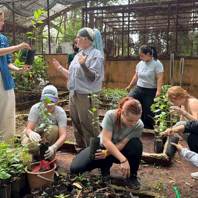 learning seedling care