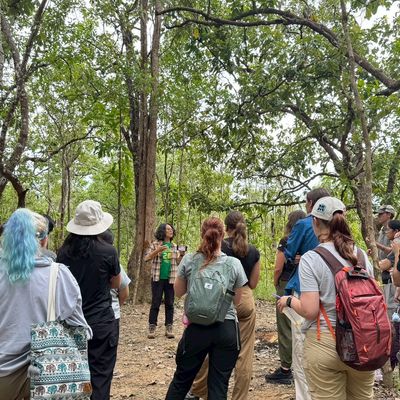 Visited at deciduous dipterocarp forest